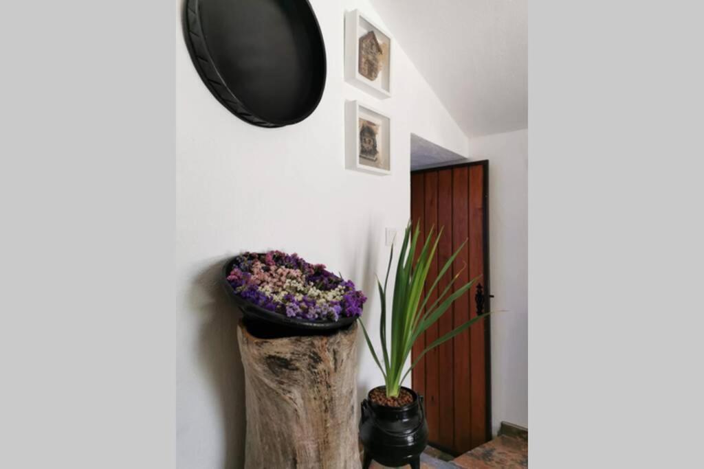 Casa Do Linho 400 Year Old Country Cottage Oleiros  Exteriör bild